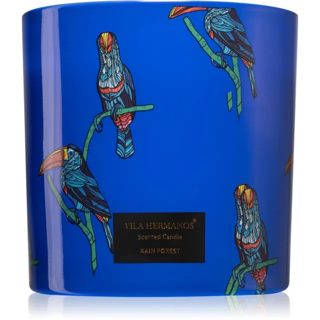 Vila Hermanos Jungletopia Rain Forest lõhnaküünal 620 g