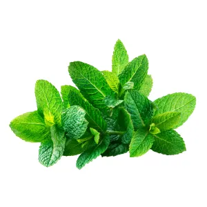 Münt 50g Itaalia
