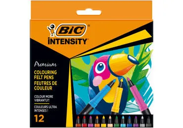 Viltpliiatsid BIC Intensity 12 värvi