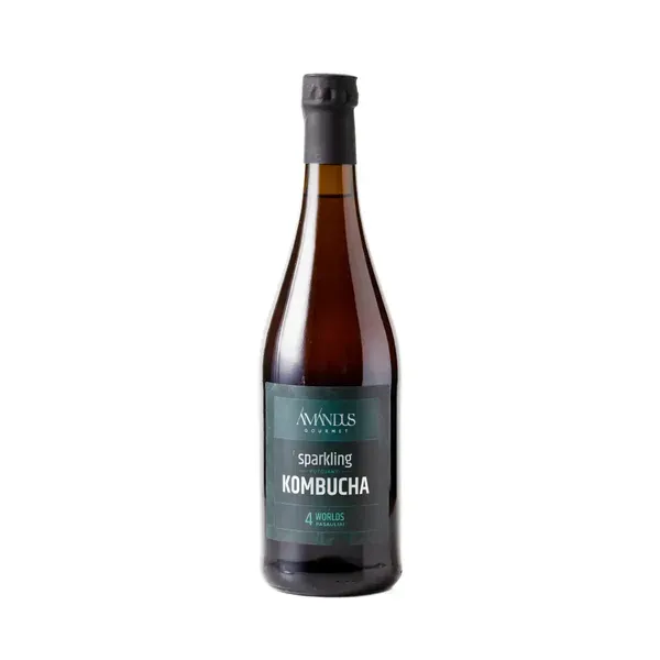Gaseeritud kombucha jook 4 WORLDS KOMBUCHA