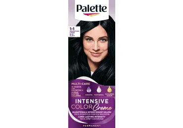 Püsivärv PALETTE ICC 1-1 sinimust