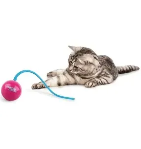 Kassi mänguasi pall Whirling Tail (AFP - Modern Cat)