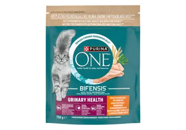 Kuiv kassisööt ONE Urinary care kana750g