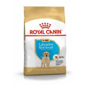 Royal Canin Labrador Retriiver kutsikatoit 12kg