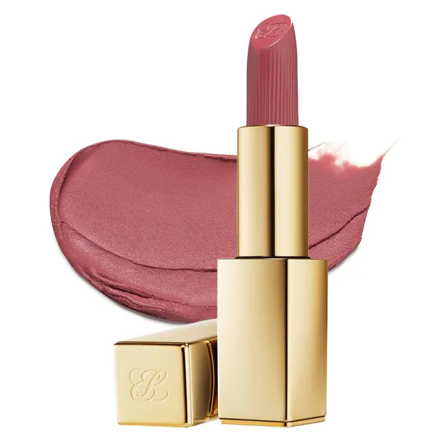 ESTEE LAUDER Pure Color Matte Lipstick No.669 Stolen Heart 3.5g