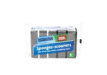 Küürimiskäsn HOME EXPERT 5tk