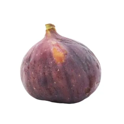 Viigimari, tk
