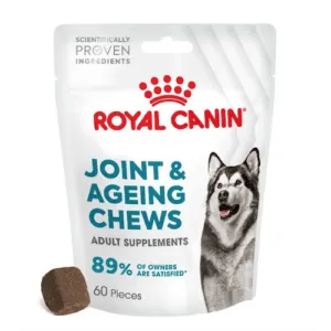 Royal Canin Joint&Ageing liigestele ja seenioritele maiustus koertele 240g