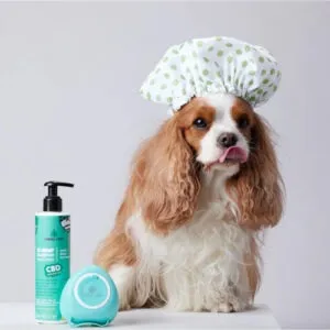 Candid Tails CBD kanepiga šampoon+palsam koertele 250ml