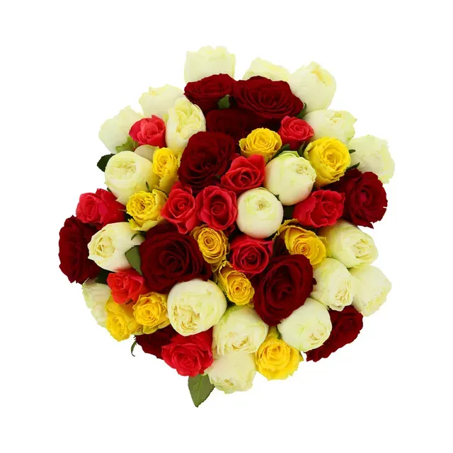 Roosikimp Kirju 50tk 60cm, 1 tk, ettetellimisel