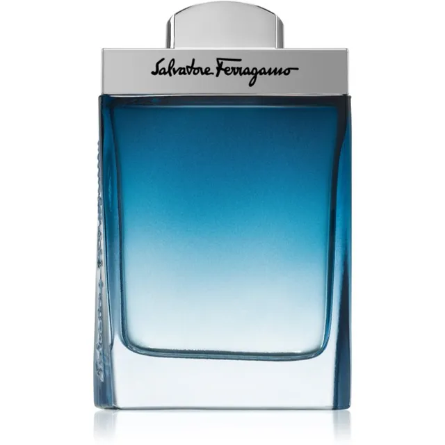 Ferragamo Subtil Pour Homme tualettvesi meestele 100 ml