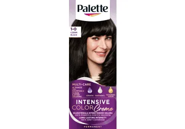 Püsivärv PALETTE ICC 1-0 must