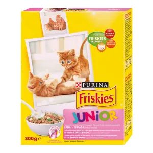 Friskies Junior kuivt.kassile 300g kana