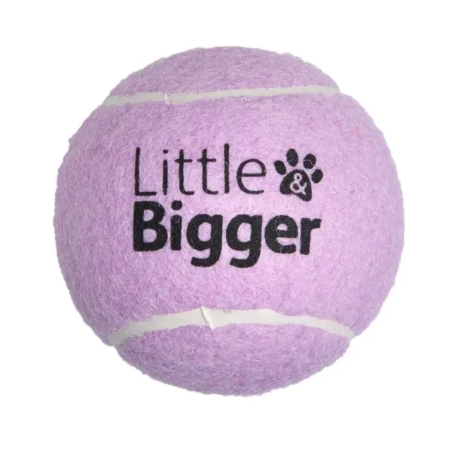 Little&Bigger Tennis koera mänguasi, piiksuv pall, lilla, M