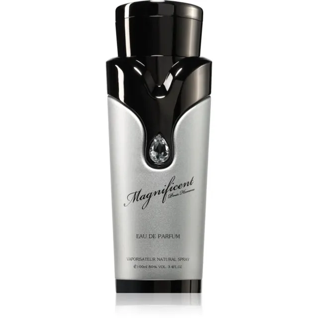 Armaf Magnificent Pour Homme Parfüümvesi meestele 100 ml