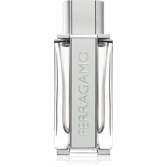 Ferragamo Ferragamo Bright Leather tualettvesi meestele 100 ml