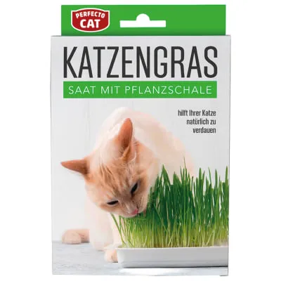 Kassirohi Perfecto 100g