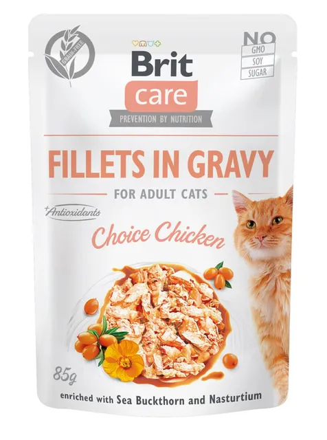 Brit Care einekotike kassile kanaga, 85 g