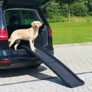 Trixie auto kaldtee koerale