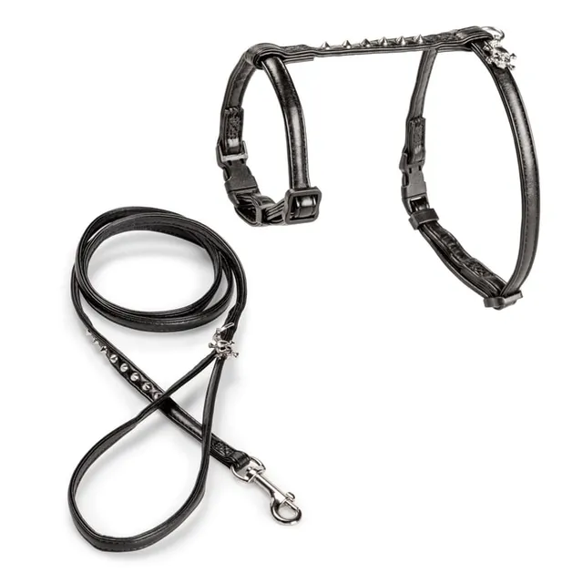 Basic kassi traksid ja jalutusrihm Rebel, M/L, must