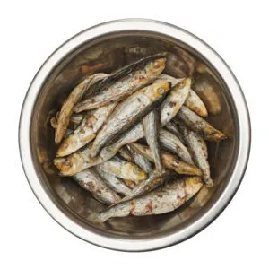Best Barf külmkuivatatud maius läänemere kilu kassile ja koerale 50g