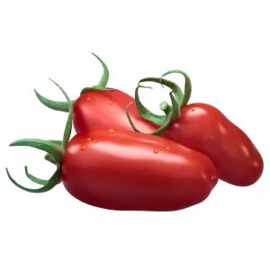 Tomat San Marzano kg I klass Belgia