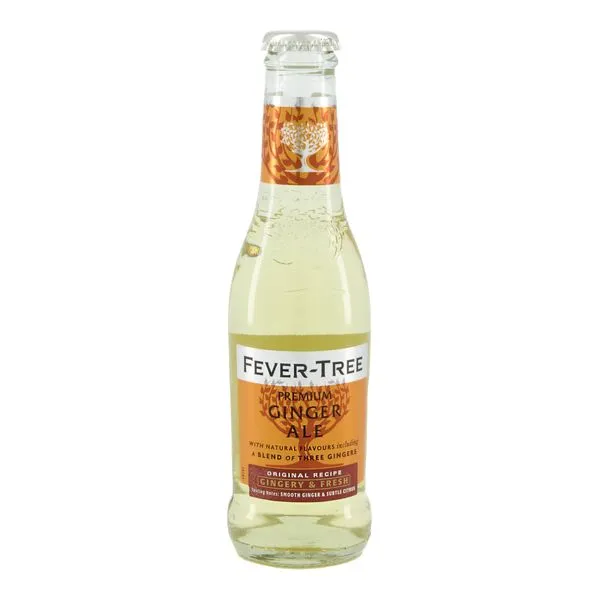 Ginger Ale jook 200ml Suurbritannia