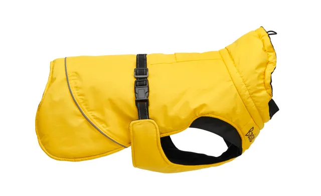 Basic koera talvejope Arctic, 30 cm, kollane