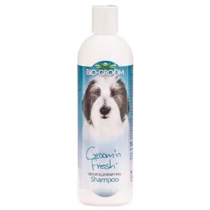 Bio Groom Groom`n Fresh šampoon ebameeldiva lõhna eemaldamiseks koertele ja kassidele 355ml