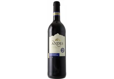 GT vein ANDES Cabernet Sauvignon 750ml