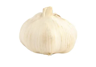 Küüslauk, kg