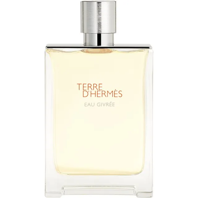 HERMÈS Terre d’Hermès Eau Givrée Parfüümvesi täidetav meestele 175 ml