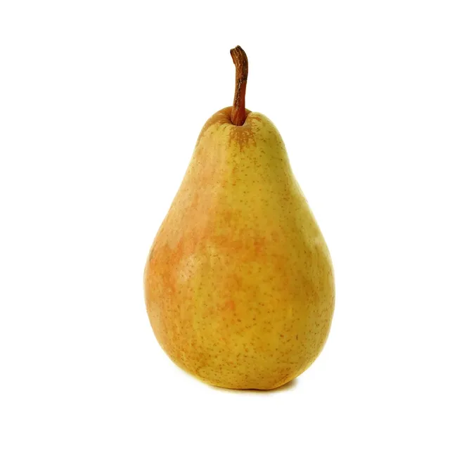 Pirn Guyot kg