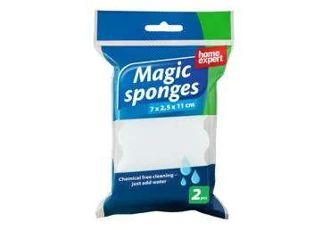 Maagiline käsn HOME EXPERT 2tk