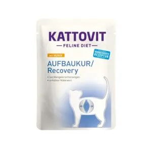Kattovit Recovery kanalihaga 85g