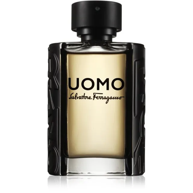 Ferragamo Uomo tualettvesi meestele 100 ml