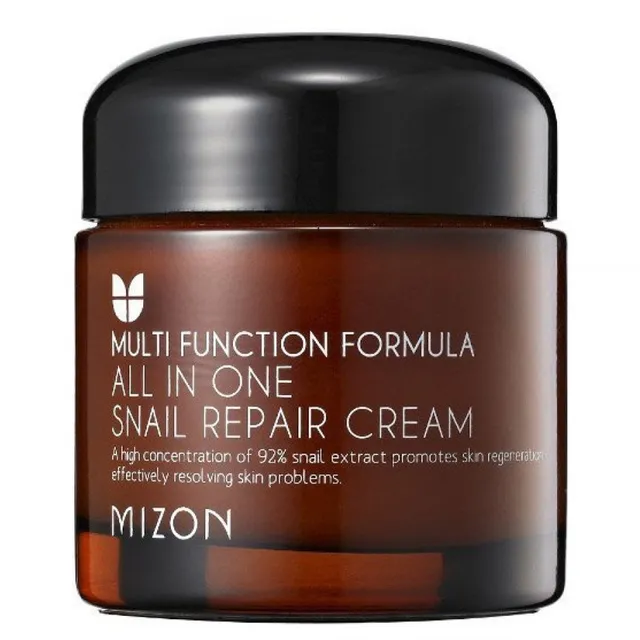 MIZON All In One Snail Repair Cream 75ml