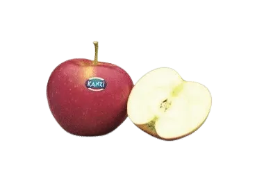 Õun Kanzi 1kl, kg