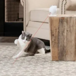 PetSafe Dancing Dot Laser automaatne mänguasi kassile