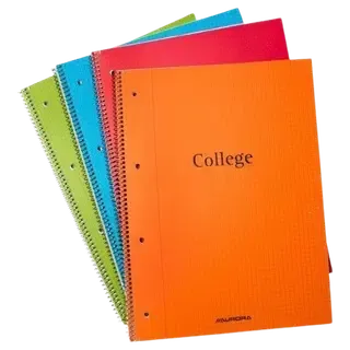 College plokk a4 plastkaanega 4 auku 80 lehte ruuduline