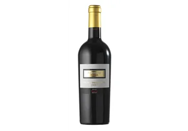 KPN vein SANI Salice Salento 750ml