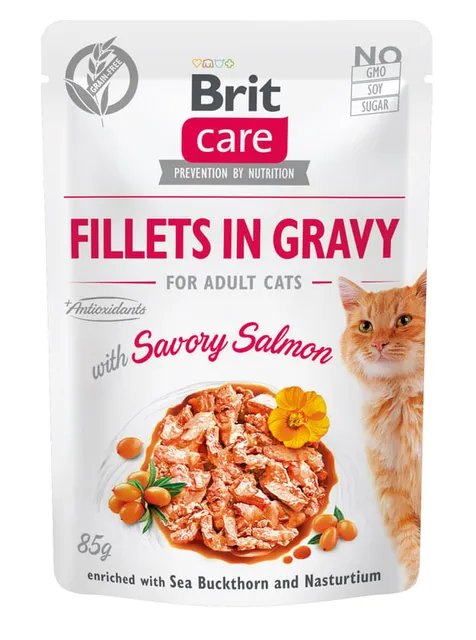 Brit Care einekotike kassile lõhega, 85 g