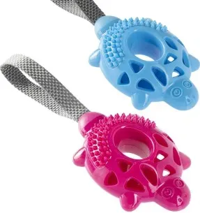 Koera mänguasi maiusepall, hambahoolduseks, kilpkonn aasaga (Gimdog)