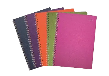 Spiraalkaustik SMILTAINIS IR KO A5, 75lk