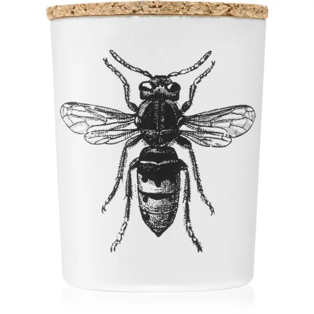Vila Hermanos Insect Calabrone lõhnaküünal 75 g