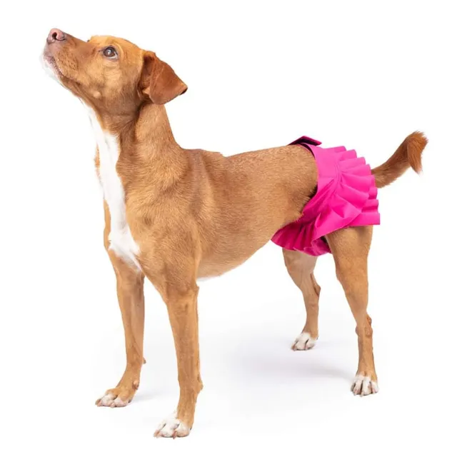 Finnero jooksuajapüksid Ballerina, fuksia, XS