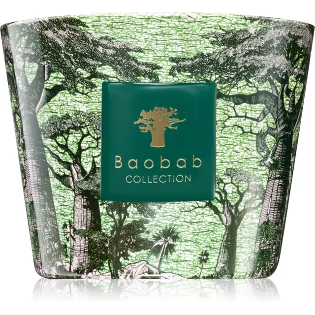 Baobab Collection Sacred Trees Touba lõhnaküünal 500 g