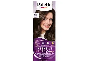 Püsivärv PALETTE ICC N3 kesk.pruun