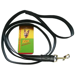 Jalutusrihm koerale helkuriga 20mm*150cm