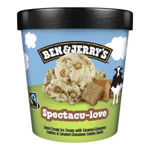 Ben&Jerry Karamellimaits.jäätis 392g